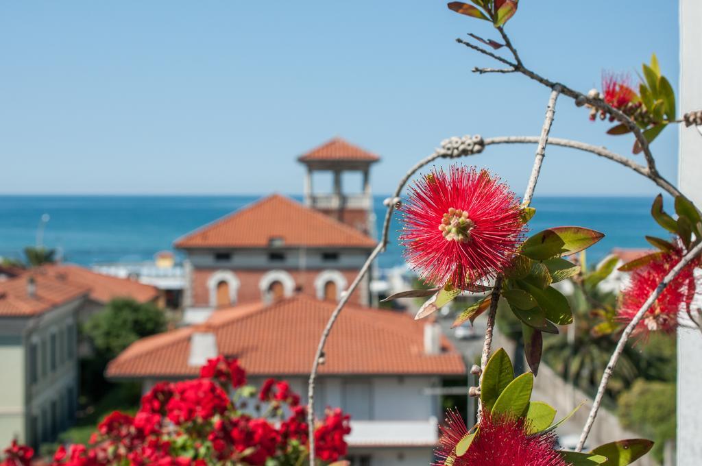 Hotel Scandinavia Marina di Massa Bagian luar foto